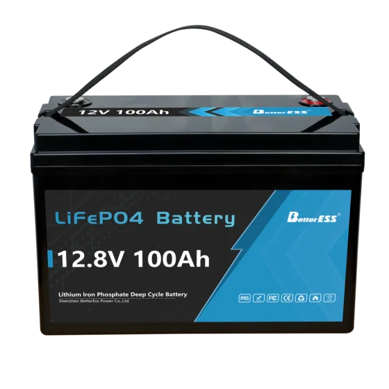 12V 100Ah LiFePO4 Battery Built-in 100A BMS with Bluetooth